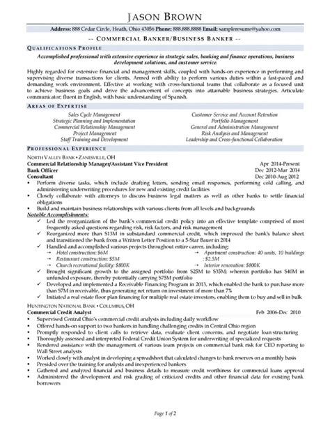 Business Banker Resume Example Resume Professional Writers