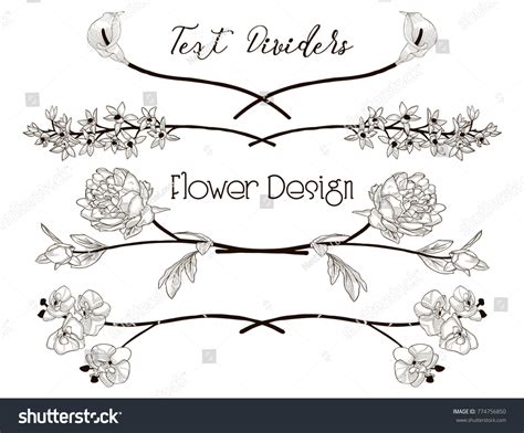 Black Hand Drawn Floral Text Dividers Stock Vector (Royalty Free) 774756850 | Shutterstock