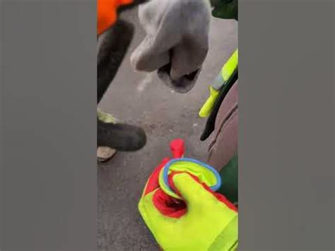 Я думал шапка деда мороза круто, это крутая шапка 😂 #прикол - YouTube