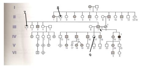 Solved For Each Of The Pedigrees Below Assign The Proper Chegg