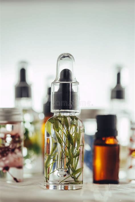 Transparent Bottles Of Essential Oil With Fresh Herbs Stock Photo