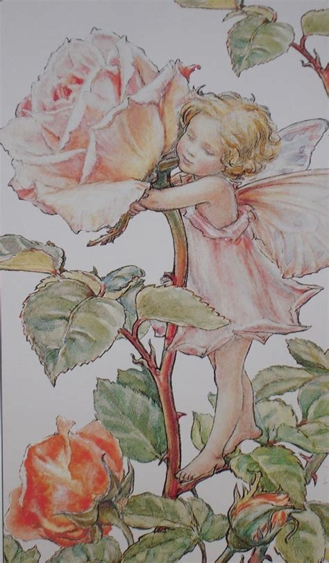 Flower Fairy Rose Cicely Mary Barker Fabric Panel Last In Etsy