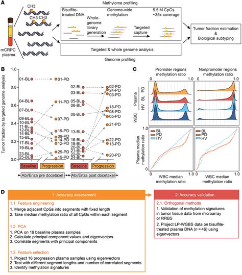 The Mcrpc Plasma Methylome A Schematic Overview Of The Workflow For