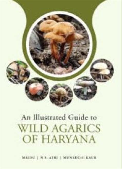 An Illustrated Guide To Wild Agarics Of Haryana Nhbs Field Guides