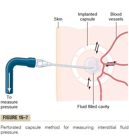 Interstitial Fluid Hydrostatic Pressure