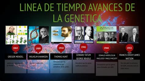 Linea De Tiempo De Avances De La Genética