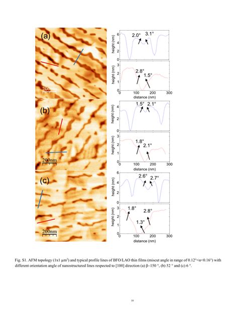 PDF Self Assembled Line Network In BiFeO3 Thin Films