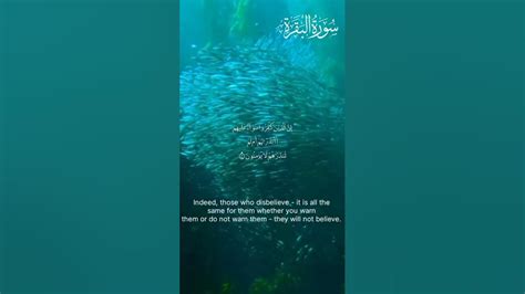 Surah Baqarah 5 8 Ayat Shortsqurantilawat Islamkibaate Quranpak