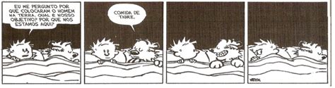 Na Tirinha Acima O Personagem Calvin Se Faz Algumas Pergunt