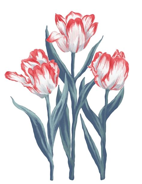 Premium PSD | Red parrot tulips painting