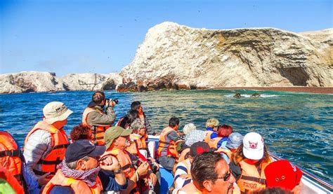 Paracas Tours Islas Ballestas Full Day Notiviajeros