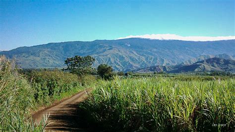 Bukidnon And Davao Mountains