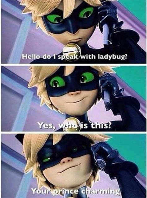 Miraculous Cat Noir Meme Miraculous Ladybug Memes Miraculous