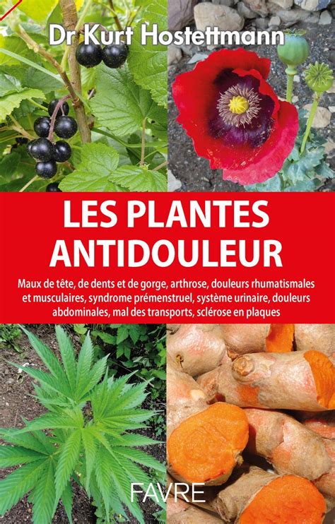 Amazon In Buy Les Plantes Antidouleur Book Online At Low Prices In