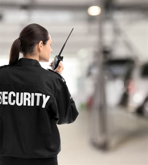 Hotel Security And Crowd Control Services Norpro