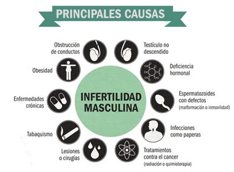 Enfermedades Que Afectan La Fertilidad Masculina Cu Les Son