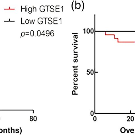 Expression Of Gtse1 And Non‐small‐cell Lung Cancer Nsclc Cells A