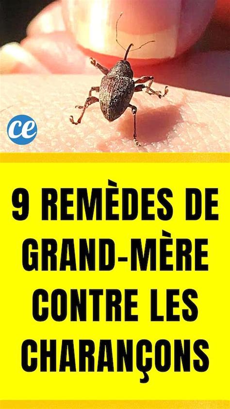 Rem Des Contre Les Charan Ons La Maison