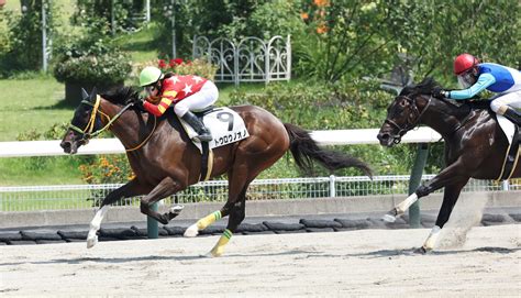 ルーキー小林美駒がトウロウノオノで4勝目「期待に応えられてうれしいです」／福島7r 競馬写真ニュース 日刊スポーツ