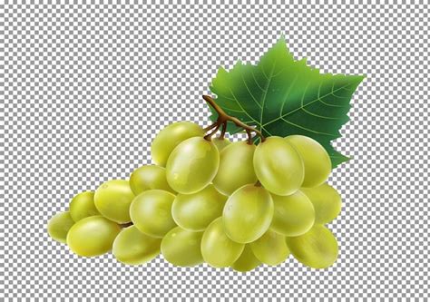 Cacho De Uvas Verdes Folhas Verdes Isoladas Em Fundo Transparente