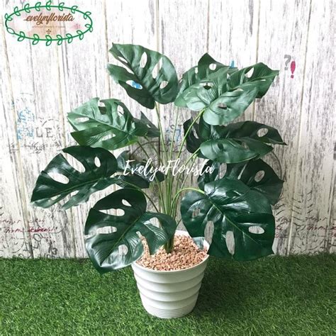 Jual Pohon Daun Monstera X12 Semi Latex Artificial Hijau Rindang Pot