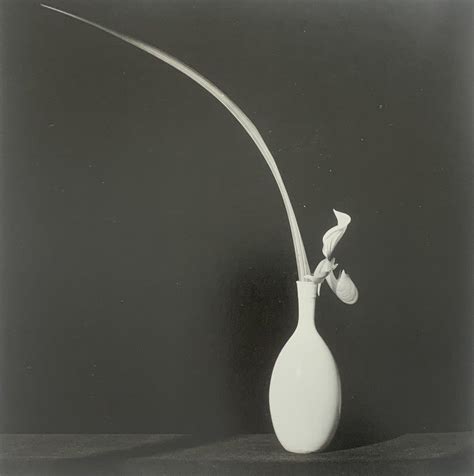 Robert Mapplethorpe Orchid 1982 Print In Colors Fineart Vendor