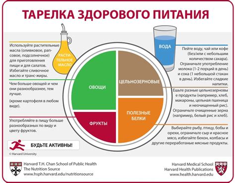 Tарелка Здорового Питания Russian The Nutrition Source Harvard T