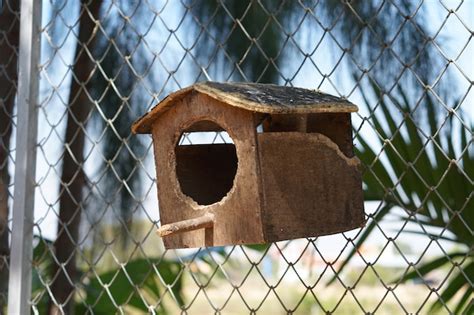 Casa De Loros En El Parque Foto Premium