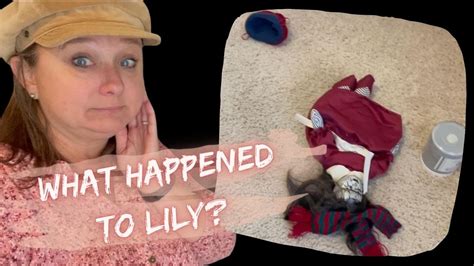 Lily The Haunted Doll Update Oct 2022 Her Mysterious Tumble Youtube