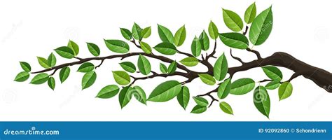 Horizontal Banner With Isolated Tree Branch With Green Leaves Vector