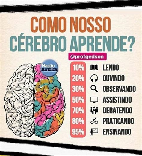 Ad Astra Como nosso cérebro aprende