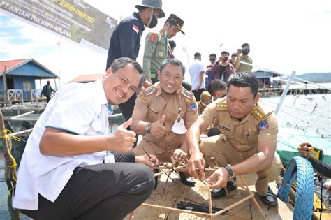 Lestarikan Ekosistem Laut Transplantasi Terumbu Karang Kendaripos