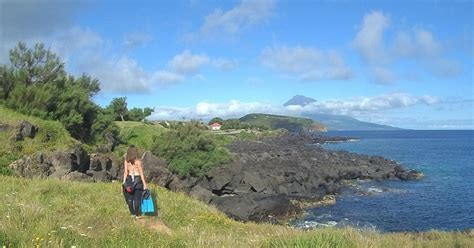 Faial Island: All-Inclusive Biodiversity Experience