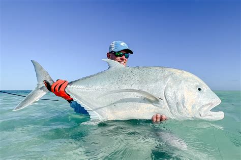 Fly Fishing Giant Trevally - The Catch, Facts, Flies, Rods & More