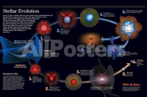 Stages Of Star Evolution Infographic Poster