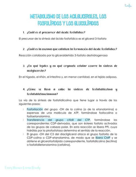 METABOLISMO DE LOS ACILGLICEROLES LOS FOSFOLÍPIDOS Y LOS GLUCOLÍPIDOS