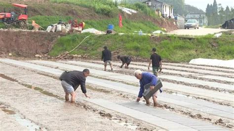 寶興：農技人員深入田間地頭送「服務」 每日頭條