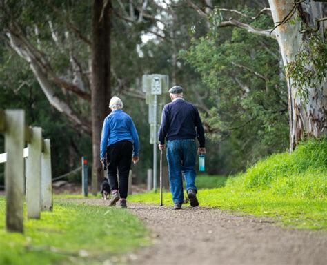 Frailty Screening And Assessment Tools Australian Frailty Network