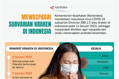 Mewaspadai Subvarian Kraken Di Indonesia Infografik ANTARA Sumatera