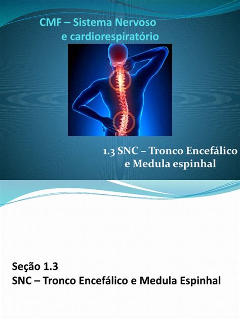 Unidade 1 Aula 3 Sistema Nervoso Central Tronco Encefálico E Medula