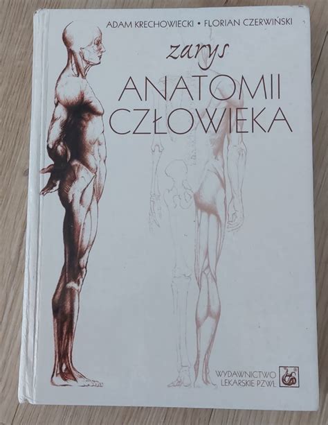 Anatomia Cz Owieka Pzwl Niska Cena Na Allegro Pl