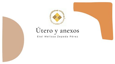 Útero y anexos Melissa Zepeda uDocz