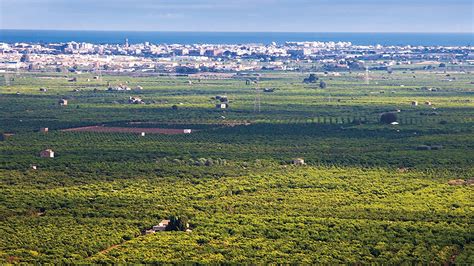 Aumenta El Precio Medio De La Tierra Para Uso Agrario