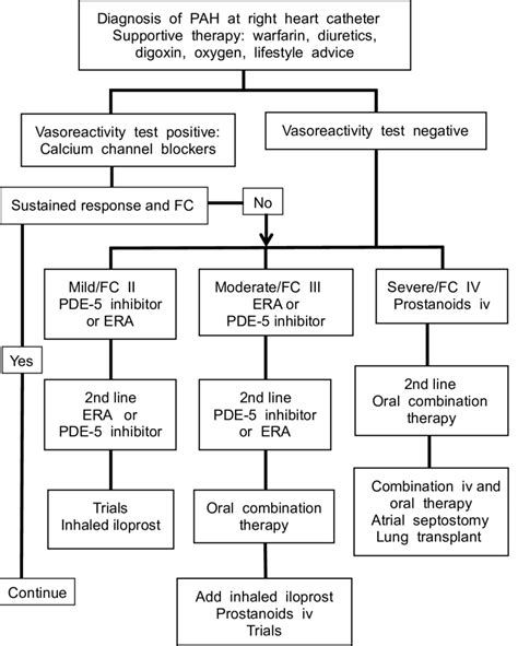 Outline treatment algorithm for pulmonary arterial hypertension (PAH ...