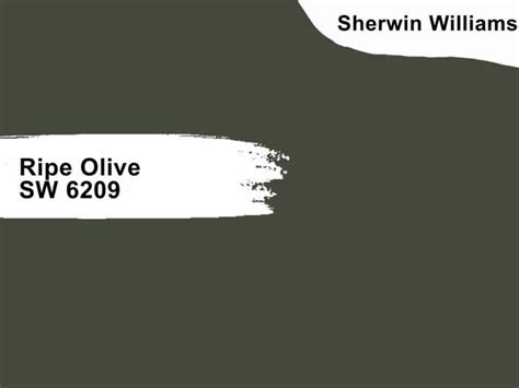 Sherwin Williams Ripe Olive Sw Green Paint Colors Sherwin