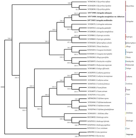 Frontiers Characterization And Comparative Analysis Of Complete