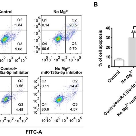 MiR 135a 5p Mediates The Pro Apoptotic Effect Of TLE A And B FACS