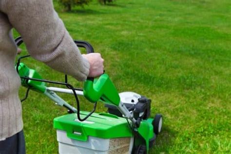 Tondre sa pelouse en hiver Les erreurs à éviter pour sauver votre gazon