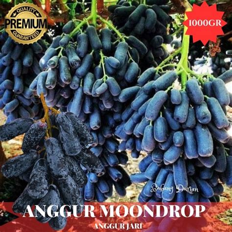 Jual ANGGUR MOONDROP 500GR GRADE A MANIS GARING TANPA BIJI Shopee