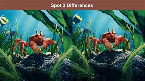 Only The Sharpest Eyes Can Spot 3 Differences Between The Crab Pictures